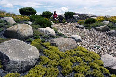 20090611Findlingspark020Abk